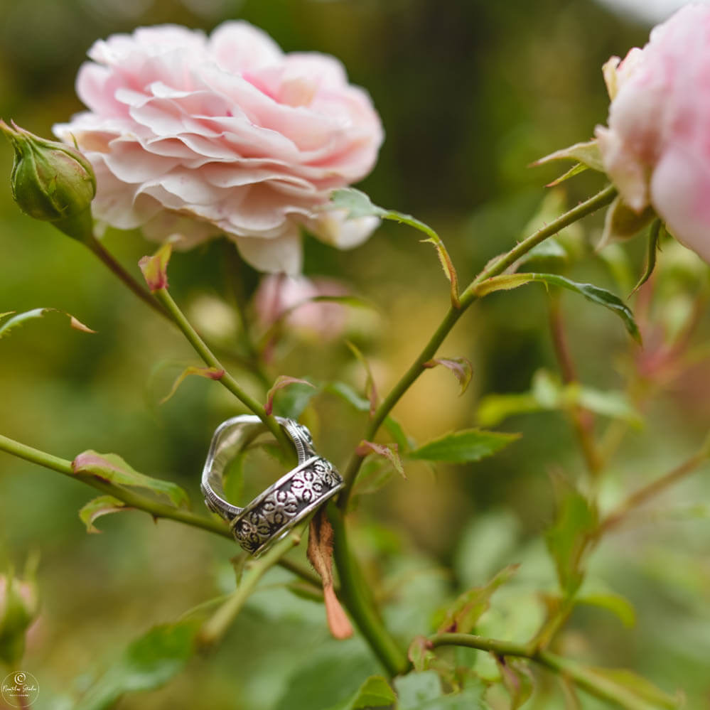 Wedding in Germany wedding bands on Roses
